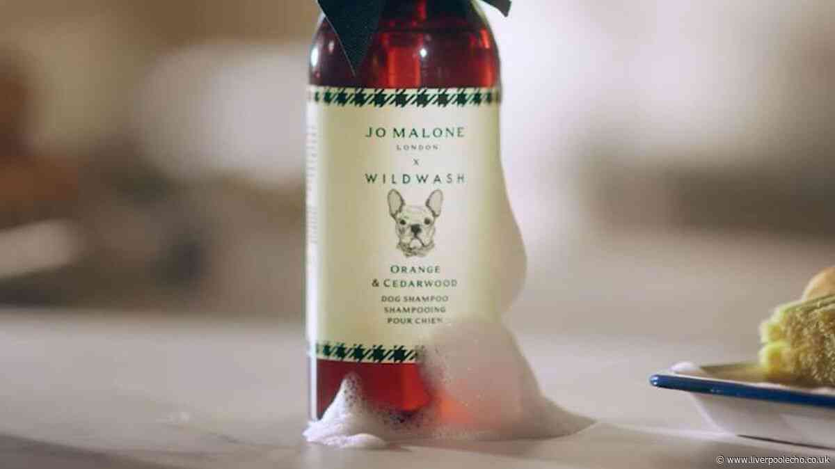 Jo Malone shoppers can get new £18 luxury dog shampoo for £7