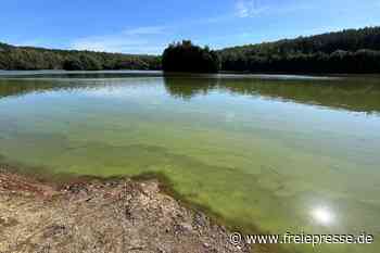Für Hunde gefährlich, für Sportler kein Problem – Rätsel um Blaualgen im See bei Rochlitz