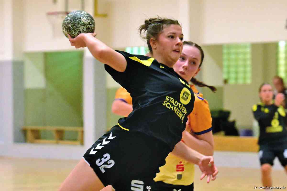 Handballerinnen aus Schneeberg stehen vor kniffliger Saison – „Es kann alles passieren“