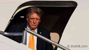 Republican strategist knocks Trump for not spending more on GOP candidates