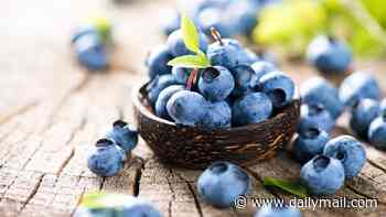 Blueberries can 'switch on fat-burning mode' in muscle cells, study finds