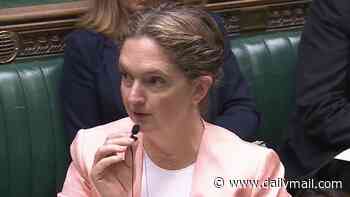 Lib Dem MP uses a mic in the Commons after suffering same nerve injury as BBC's Nick Robinson