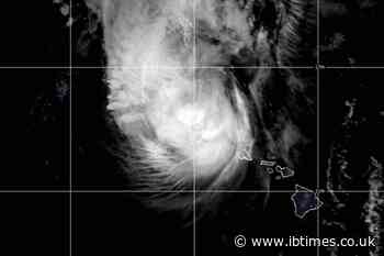 Hurricane Lowell Path and Updates: Hawaii Braces for 60 Centimetres of Rain and Severe Mudslides
