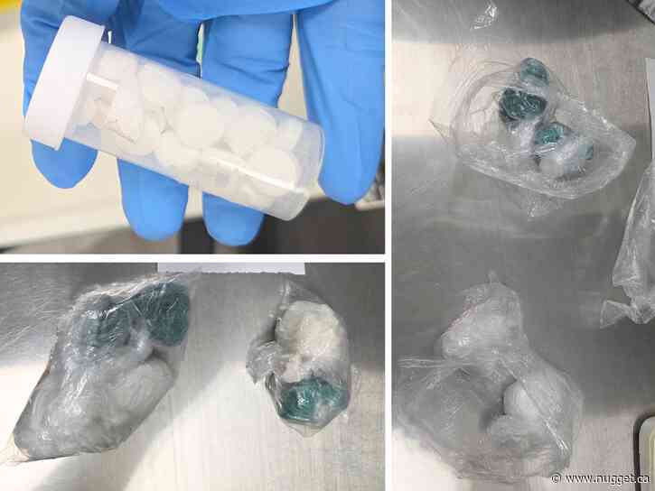 North Bay police seize $23,000 in drug bust