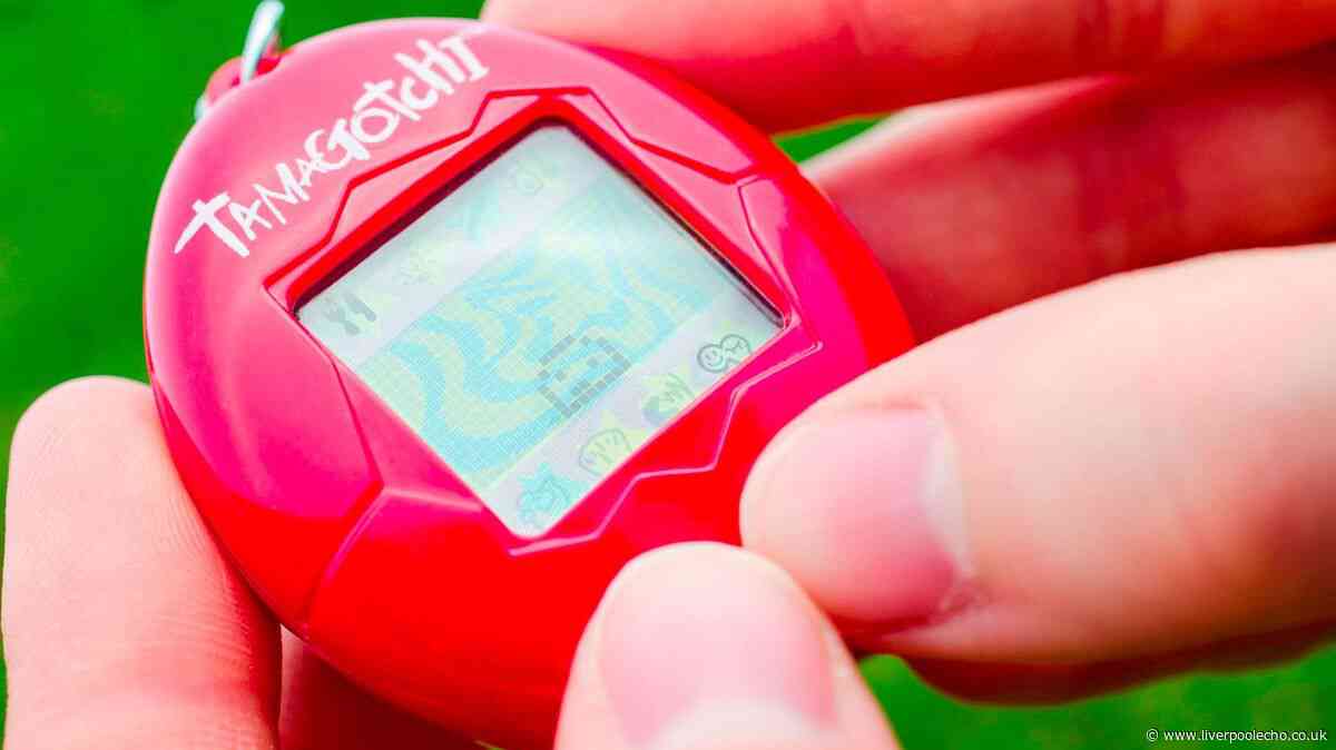 'I found new Tamagotchi in charity and was floored by price tag'