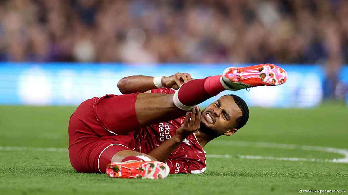 Cody Gakpo hands Liverpool injury blow before Atletico tie but Reds star returns