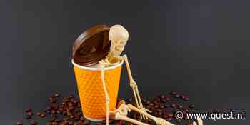Te veel koffie kan slecht zijn voor je botten (maar thee kan geen kwaad)