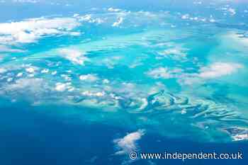 Four bodies found after plane went missing near the Bahamas, family says