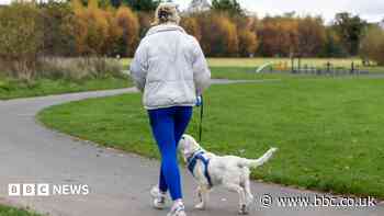 Dog fouling fine to double across Wyre