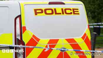 Boy, 6, had 'racist word' written on forehead in park