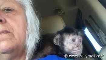 Foster mother accused of trading child for a MONKEY fully avoids jail time