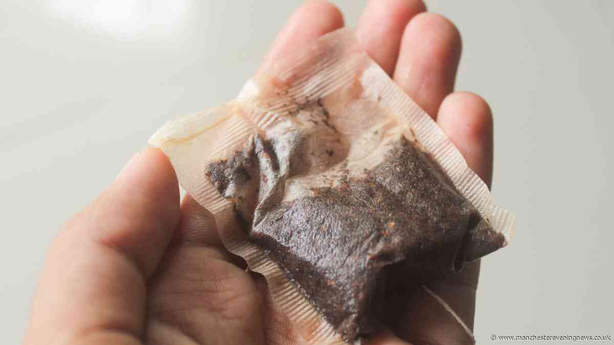 UK households urged to leave used tea bags on windowsills in September