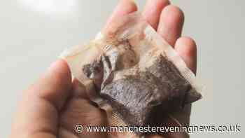 UK households urged to leave used tea bags on windowsills in September