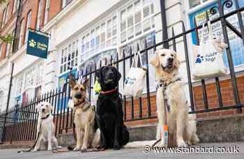 London's worst areas for dog noise complaints revealed - and one of them is Barking