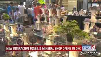 New interactive fossil and mineral store opens in the metro