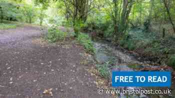 River 'foam' which saw animals die, is not linked to Brislington industrial fire
