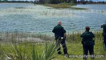 Child rushed to hospital after being mauled by 12-foot alligator during swim in Florida lake