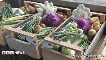 Farm scheme helps learning disabled young adults