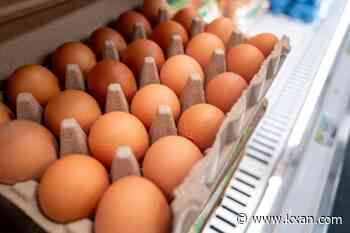 Here's where millions of free eggs are headed in Texas following settlement