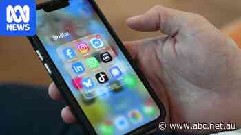 What could your social media feeds look like without the algorithm?