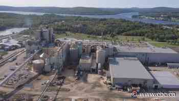 Nackawic on edge as pulp mill owner evaluates options