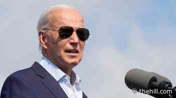 Biden says prostate cancer treatment 'worked as intended'