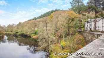 'Cosy' Betws-y-Coed apartment surrounded by wooded 'fairy' gorge