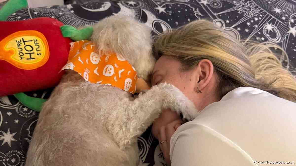 Kirkby woman heartbroken as pet mauled to death by loose dog