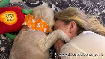 Kirkby woman heartbroken as pet mauled to death by loose dog
