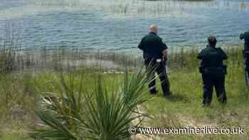 Child 'mauled by 12-foot alligator' in Florida lake