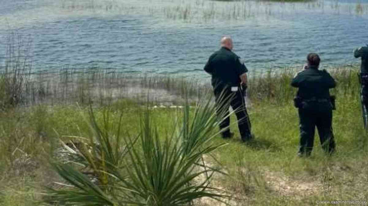 Child 'mauled by 12-foot alligator' in Florida lake
