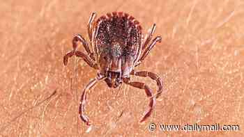 New tick-borne virus found in China after hundreds tested for unexplained severe fever... and critter carrying disease is already in the US