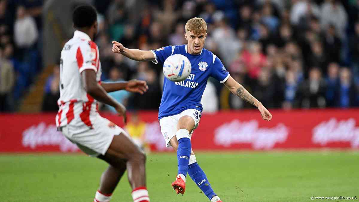 Cardiff City v Stoke City LIVE: Score updates as Joel Colwill equalises