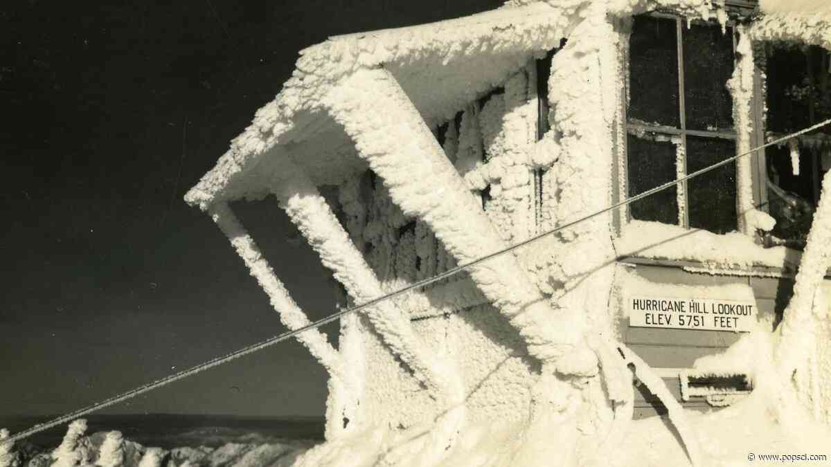 National Park Service’s WWII series highlights Washington State nature reserve