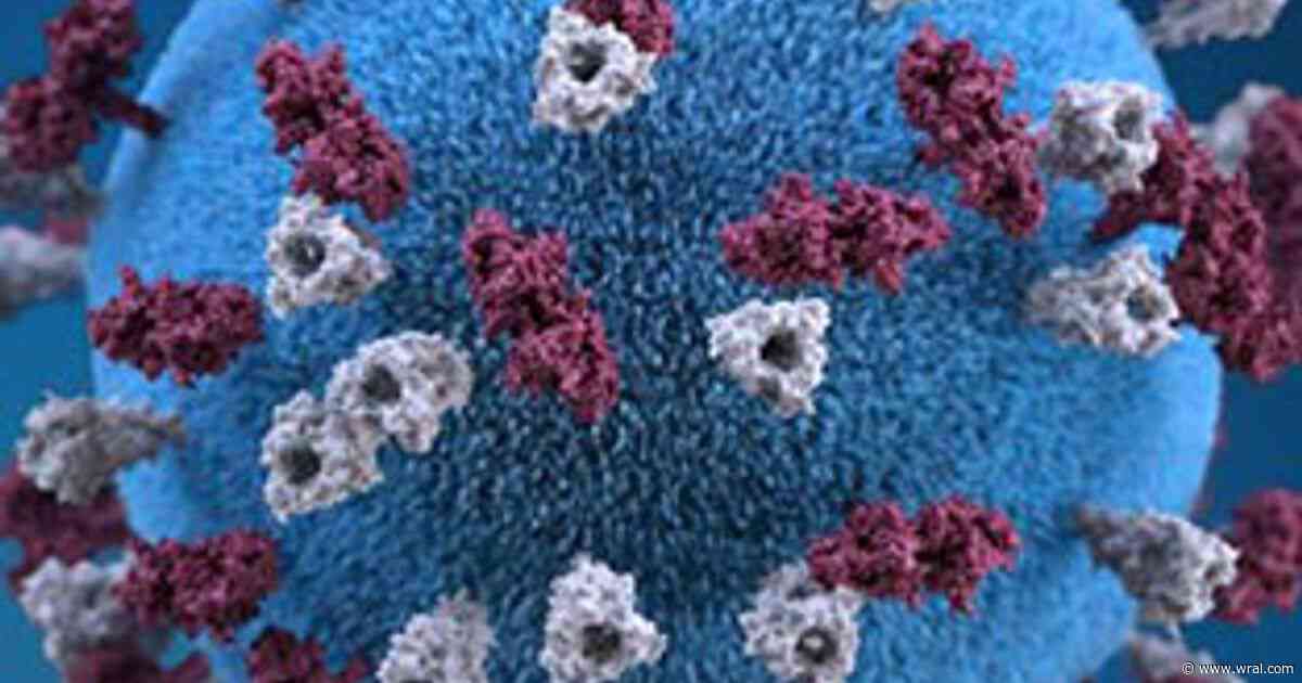 North Carolina's kindergarten vaccination rates show vulnerability to measles amid US outbreaks
