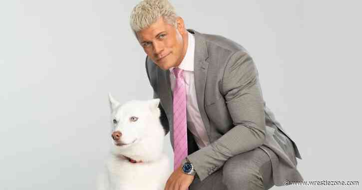 Another Top WWE Star Confirms Death of Beloved Pet as Cody Rhodes Mourns Pharaoh