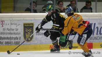 Tölzer Löwen wollen erstmals ein Heimspiel gegen Adler Kitzbühel gewinnen