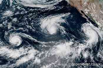 ‘Extremely unusual’ El Nino may already be impacting the US