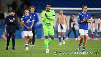 Mixed Cardiff City ratings as enigmatic star shines but one man must offer more