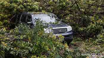 Power likely out until Wednesday in Winnipeg area hit hardest by Sunday storm