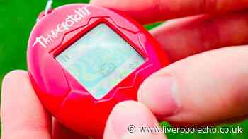 'I found new Tamagotchi in a charity shop and was floored by price tag'