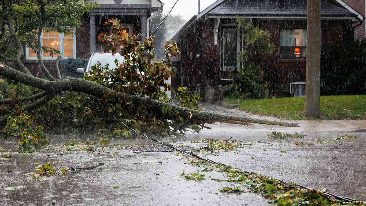 Home damaged in the GTA storm? Here are your options