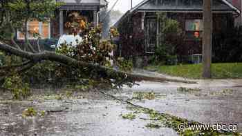 Home damaged in the GTA storm? Here are your options