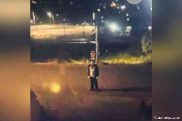 Young girl chased in West Kelowna by someone in a Dr. Seuss costume