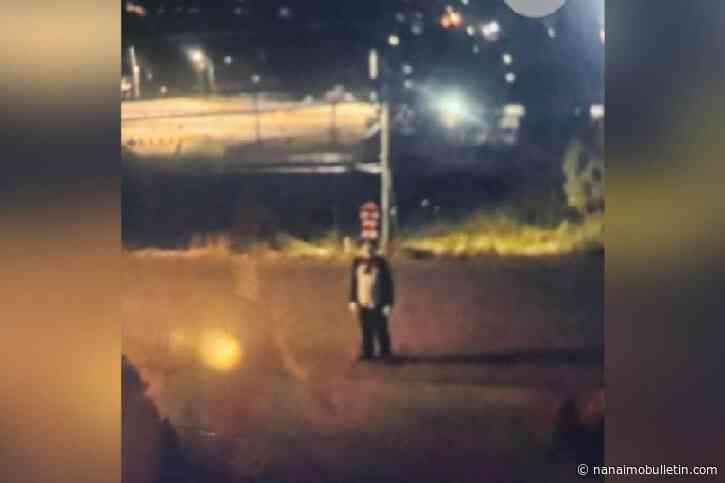 Young girl chased in West Kelowna by someone in a Dr. Seuss costume