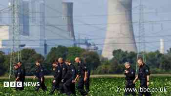 Sabotage suspect held in Germany after spate of attacks on power grid