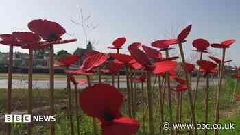 Poppies made of scallop shells honour 9/11 victims