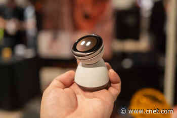 The Best of IFA 2026, Where There’s No Such Thing as Too Many Robots