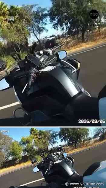 California patrol officer rescues cat from busy freeway