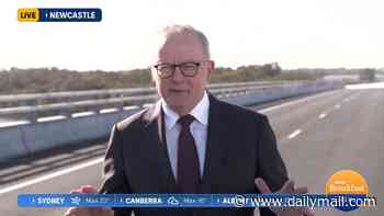 Albanese loses it at the ABC live on air as he is questioned over undeclared golf club membership linked to $6million grant: 'ABC should do better'